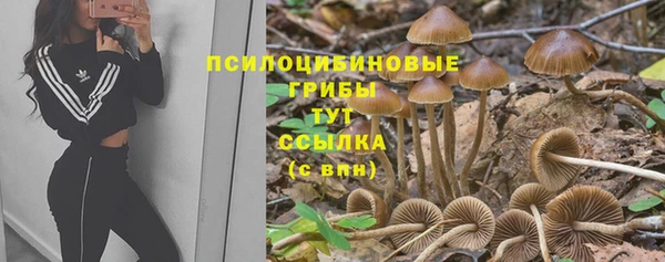 прущие крисы Липки