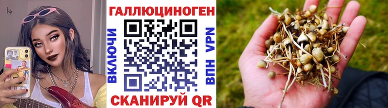 Псилоцибиновые грибы Psilocybe  ссылка на мегу зеркало  Долинск  как найти закладки 